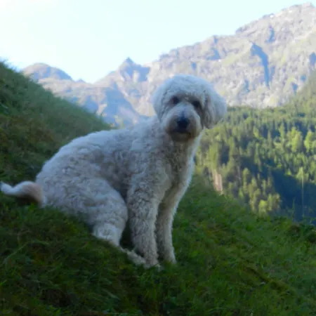 Unser Kleines *
